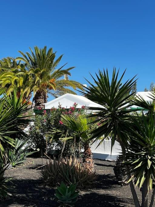 Lovely Casita Jade Playa Blanca  Eksteriør bilde